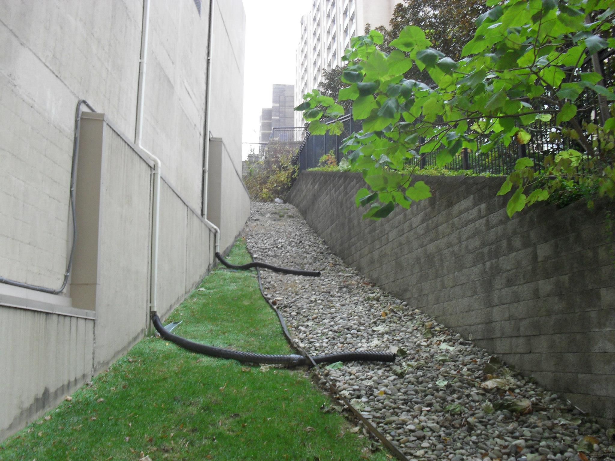 The buffer between Willoughby Park and the loading dock driveway serves as natural drainage area. 